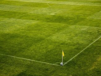 white and black soccer ball on side of green grass field during daytime