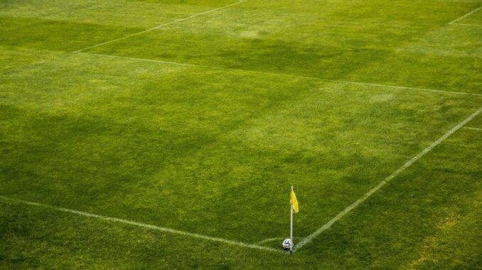 white and black soccer ball on side of green grass field during daytime