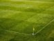 white and black soccer ball on side of green grass field during daytime